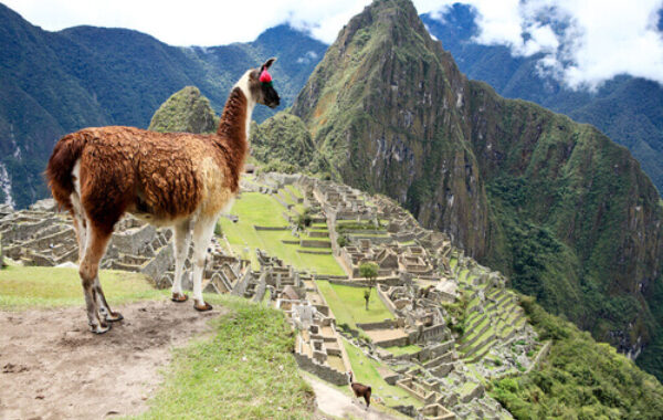 Machu Picchu to Cusco