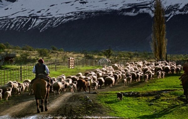 Estancia Nibepo Aike
