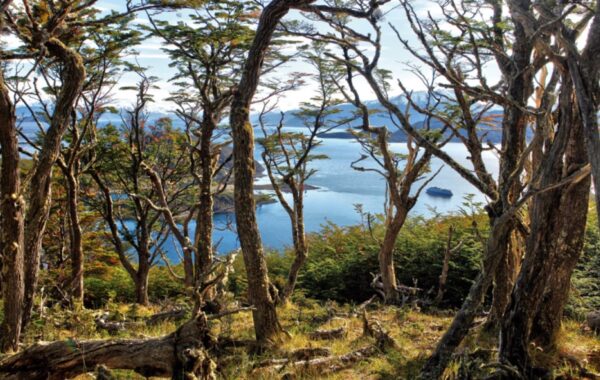 Cape Horn - Wulaia Bay