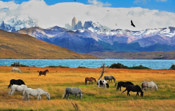 Torres del Paine