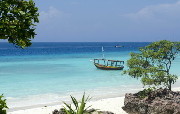 Relax on a paradise island