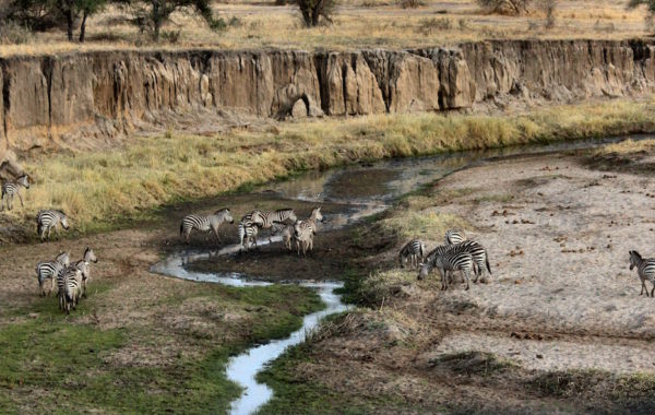 Tarangire National Park