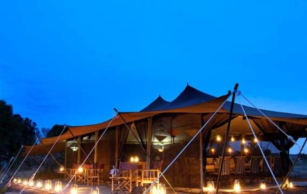 Porini Lion Camp