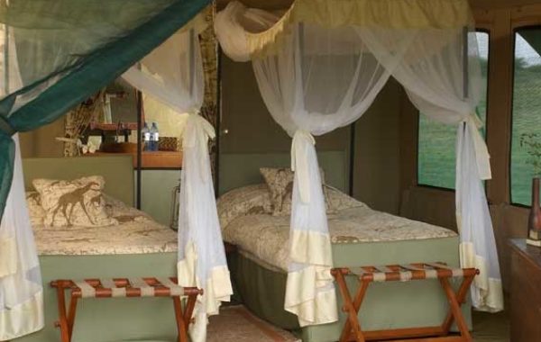 Kirurumu Serengeti Ndutu camp