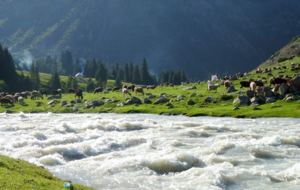 Trekking: Altyn Arashan - Karakol