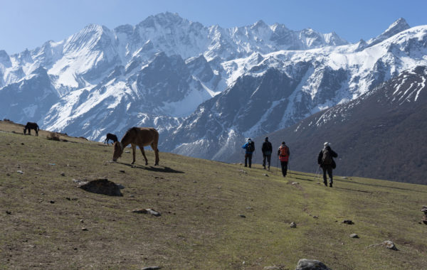 Trek the alpine Langtang Valley