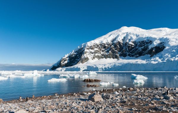 Antarctica