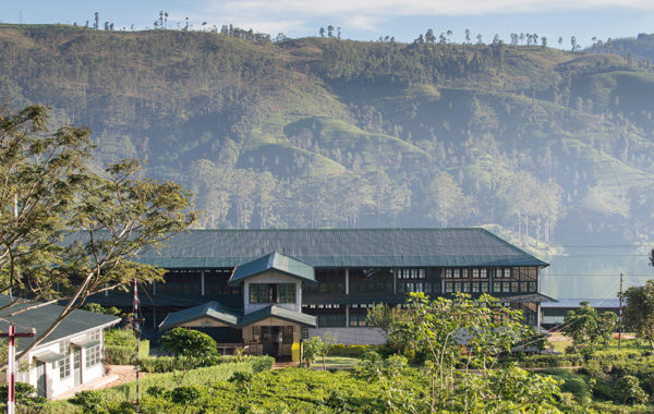 Hotel: Ceylon Tea Trails