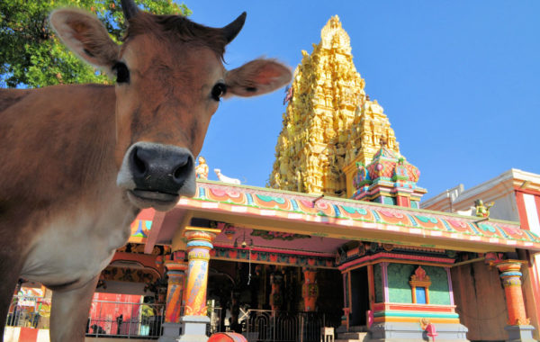 Jaffna