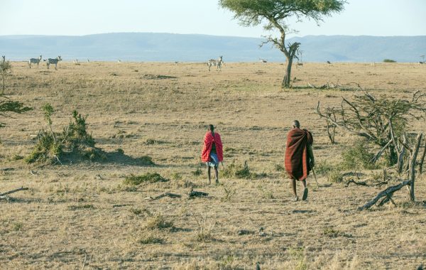 Into the Mara North wilderness
