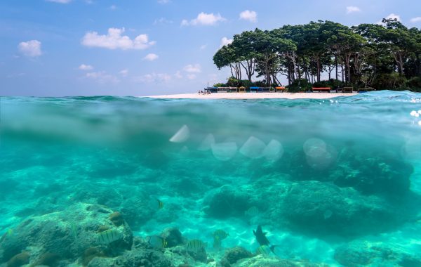 Relax on a desert island