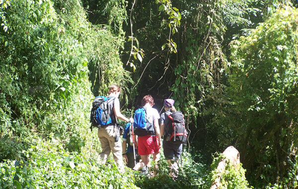 Fly to Pokhara - Trek to Tirkedhunga Village