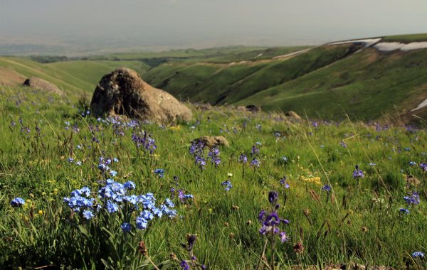 Mount Aragats