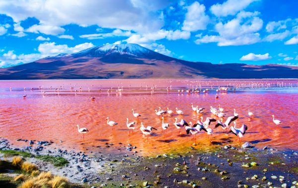 Bolivia