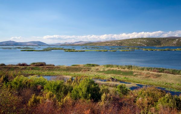 Hutovo Blato Nature Reserve