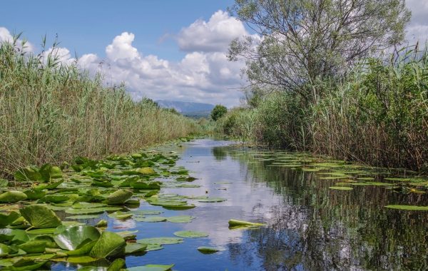 Hutovo Blato Nature Reserve
