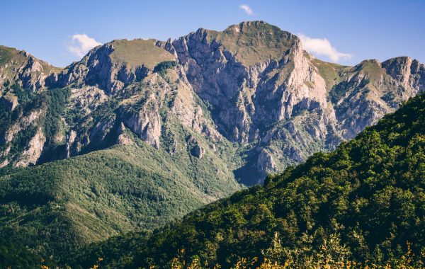 Sutjeska National Park