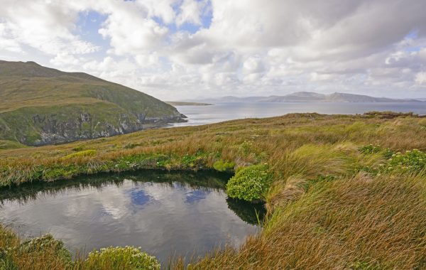 Cape Horn