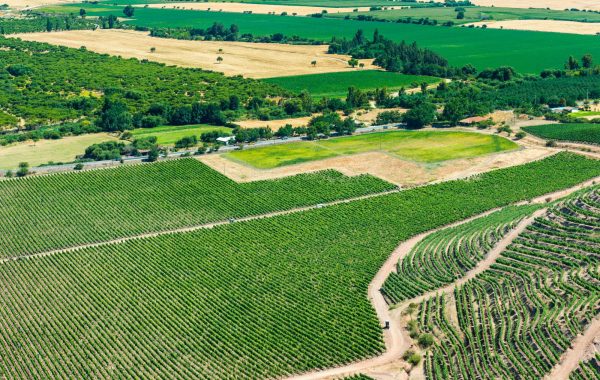 Colchagua Valley
