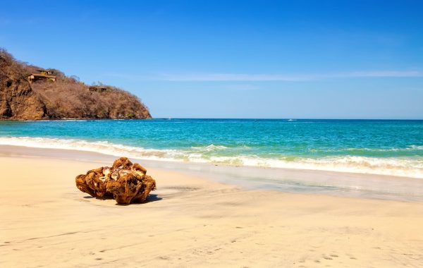 Guanacaste
