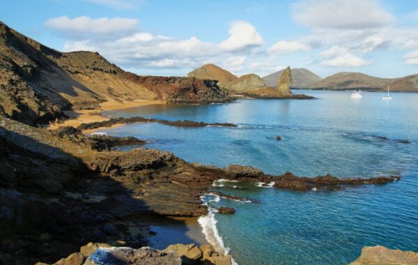 Penguins and Pinnacle Rock