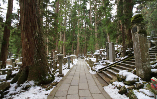 Explore a mountaintop Buddhist community