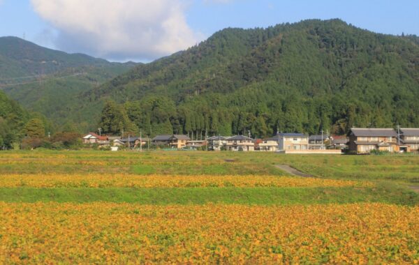 Take a cycling tour of Hida Satoyama