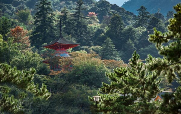 Get arty on Naoshima Island