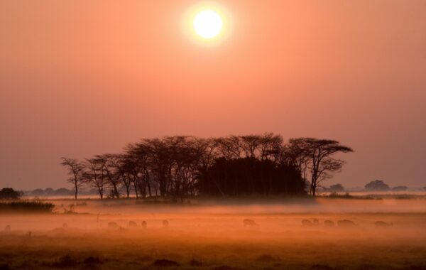 Kafue National Park
