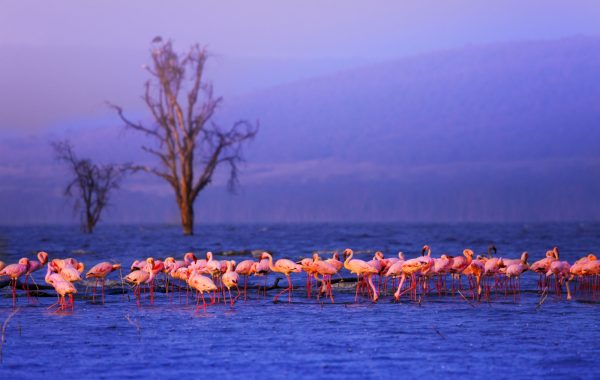The Great Rift Valley