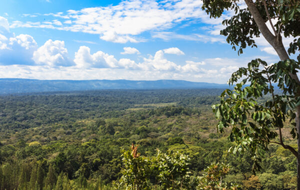 Go hiking in Kakamega