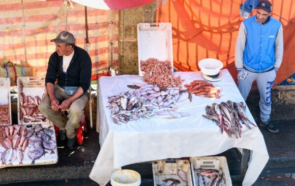 Cook lunch in Essaouira's community kitchens