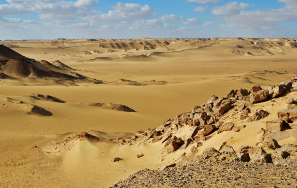 Bake bread with nomads in the Sahara