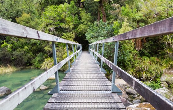 Punakaiki to Abel Tasman