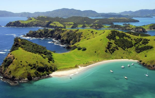 Auckland to Paihia