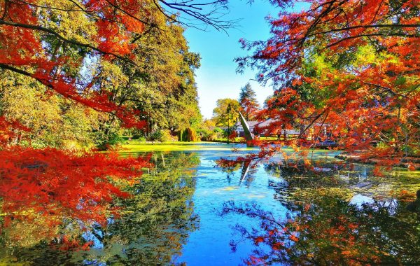 Christchurch