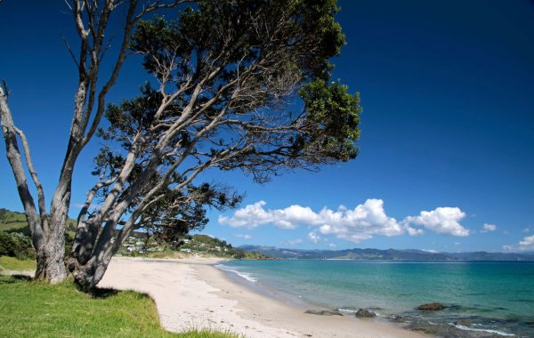 Auckland to Coromandel