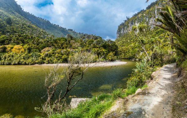 Franz Josef to Punakaiki