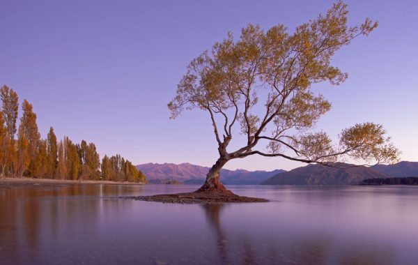 Queenstown to Wanaka