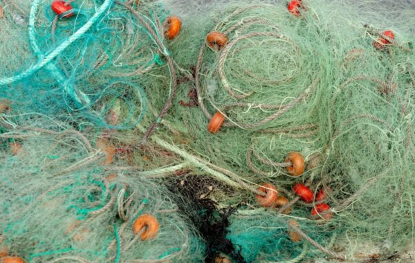Go net fishing with locals