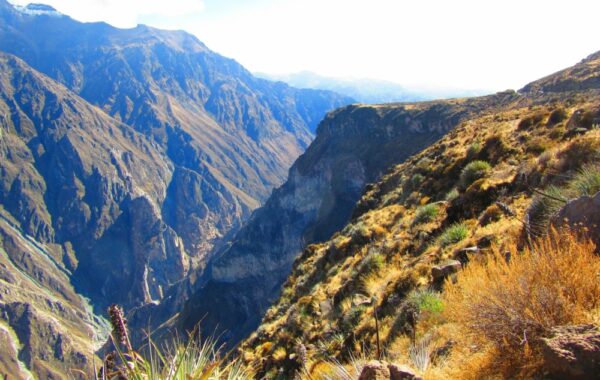 Colca Canyon