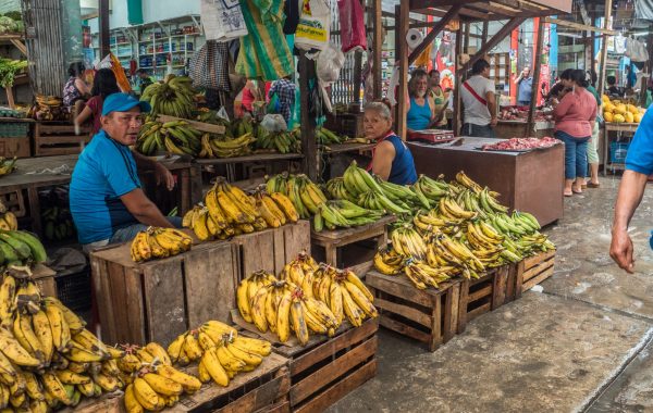 Iquitos