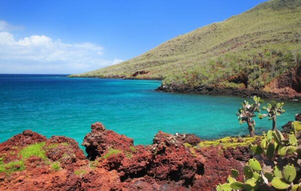 Isla Rabida