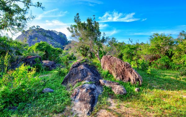 Yala National Park