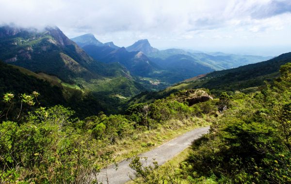 Knuckles Mountain Range