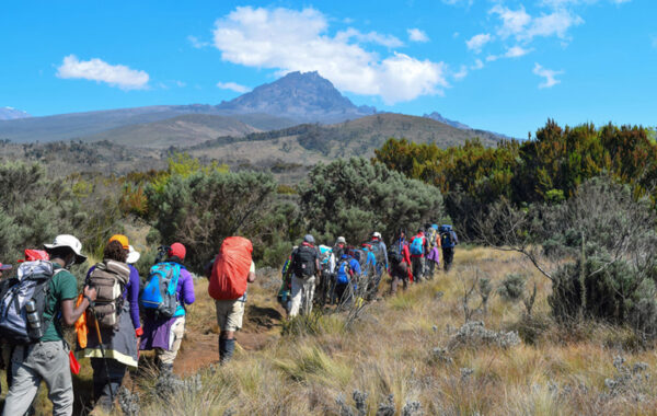 Hike-climb Africa's highest mountain