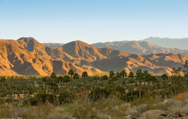 Unwind in Palm Springs