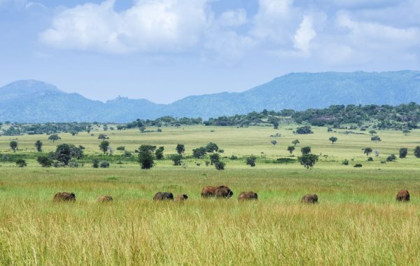 Visit the Ik people in Kidepo