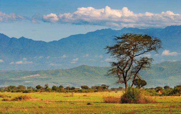 Hike the Rwenzori mountains