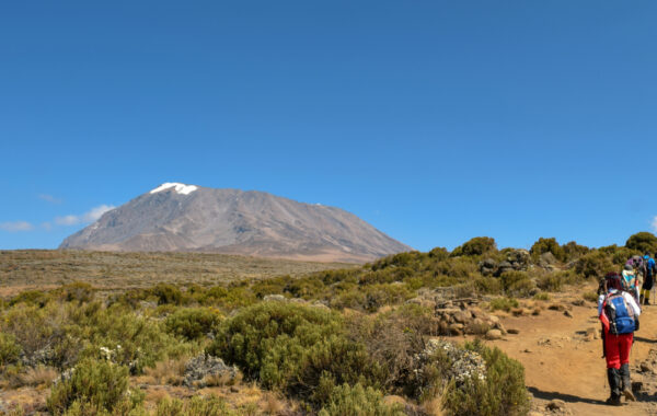 Explore all Mount Kilimanjaro has to offer